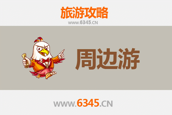 漯河郾城深度周边游攻略：历史韵味与舌尖之旅